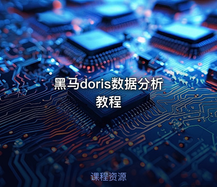黑马doris数据分析教程