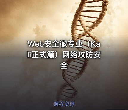 Web安全微专业（Kali正式篇）网络攻防安全