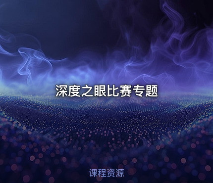深度之眼比赛专题