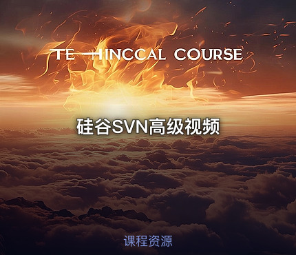 硅谷SVN高级视频