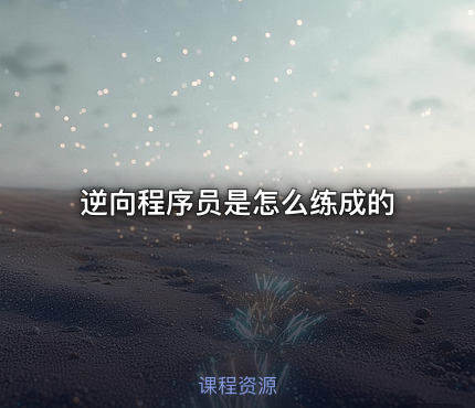 逆向程序员是怎么练成的