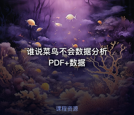 谁说菜鸟不会数据分析 PDF+数据