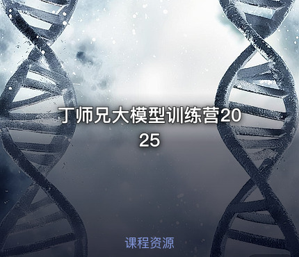 丁师兄大模型训练营2025