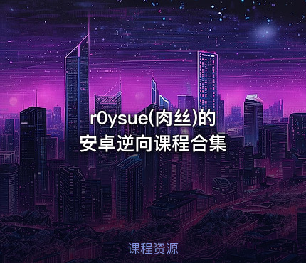 r0ysue(肉丝)的安卓逆向课程合集