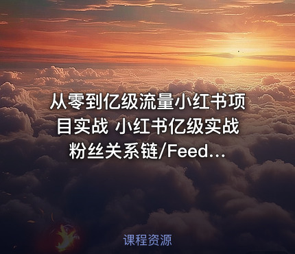 从零到亿级流量小红书项目实战 小红书亿级实战 粉丝关系链/Feed流/高并发架构设计