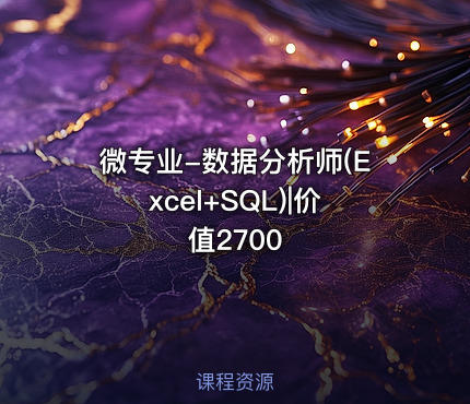 微专业-数据分析师(Excel+SQL)|价值2700