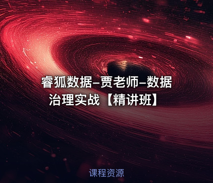 睿狐数据-贾老师-数据治理实战【精讲班】