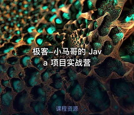 极客-小马哥的 Java 项目实战营
