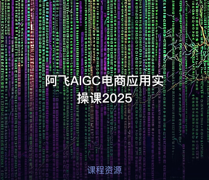阿飞AIGC电商应用实操课2025