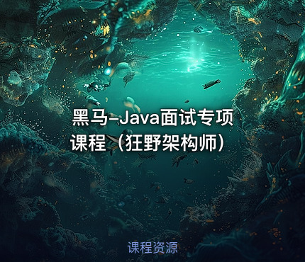 黑马-Java面试专项课程（狂野架构师）