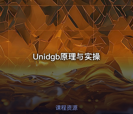 Unidgb原理与实操