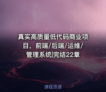 真实高质量低代码商业项目，前端/后端/运维/管理系统|完结22章