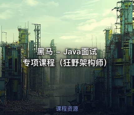 黑马 - Java面试专项课程（狂野架构师）