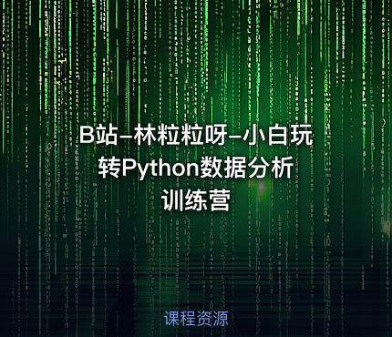 B站-林粒粒呀-小白玩转Python数据分析训练营