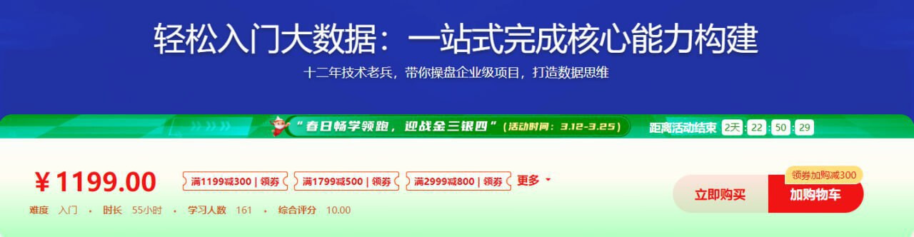 体系课-轻松入门大数据：一站式完成核心能力构建